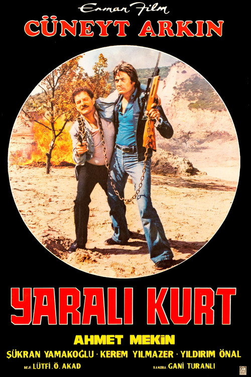 Póster de Yaralı Kurt