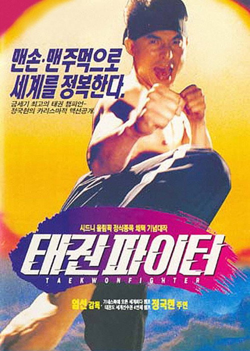 Póster de 태권 파이터