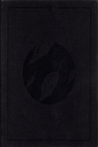 Póster de Clandestine