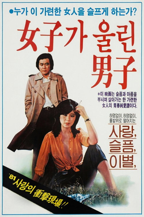 Póster de 여자가 울린 남자
