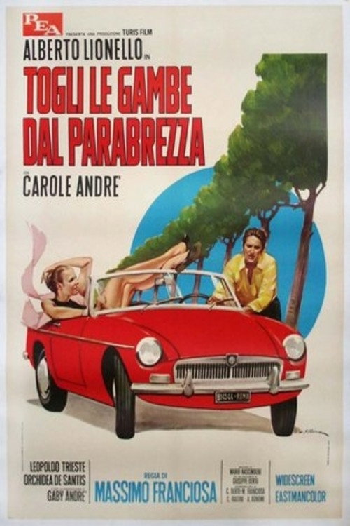Póster de Togli le gambe dal parabrezza