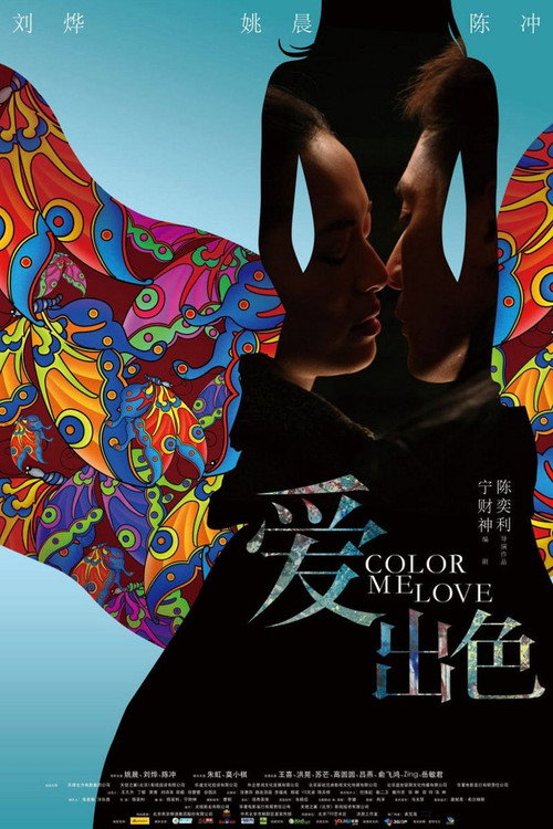 Póster de 我的天空