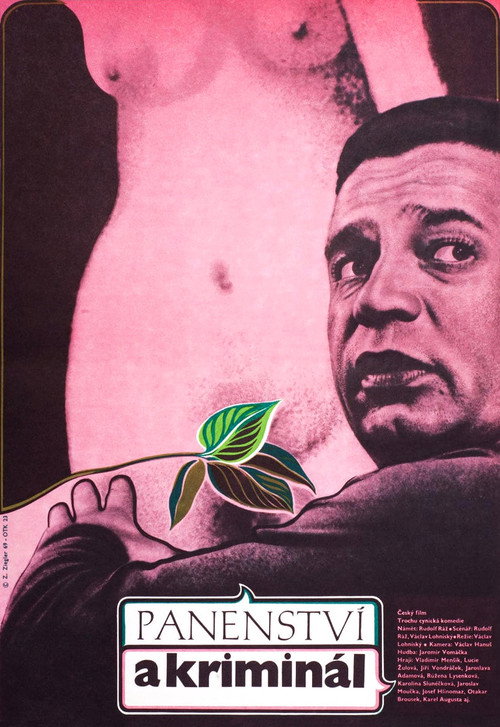 Póster de Panenství a kriminál