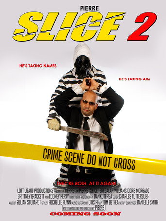 Póster de Slice 2
