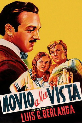 Póster de Novio a la vista