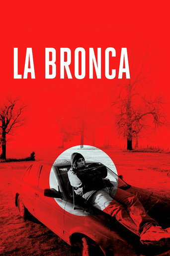 Póster de La bronca