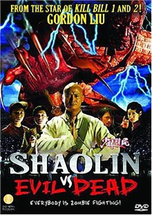 Póster de 少林殭屍