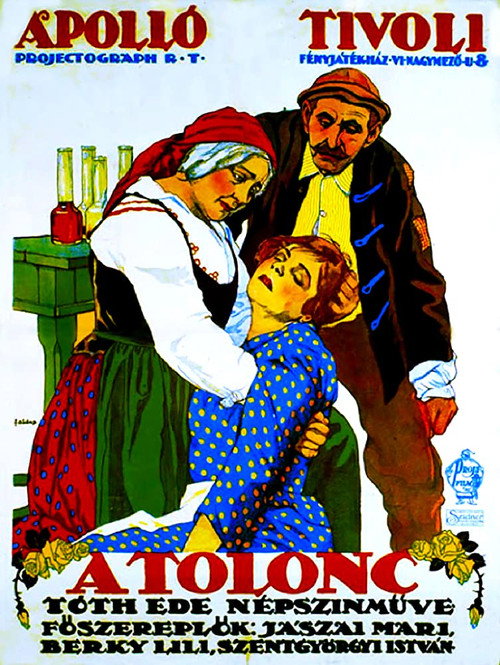 Póster de A tolonc