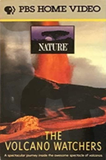 Póster de The Volcano Watchers