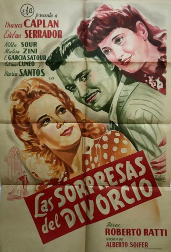 Póster de Las sorpresas del divorcio