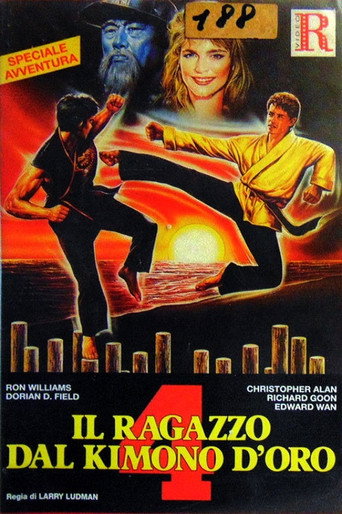 Póster de Karate Warrior 4