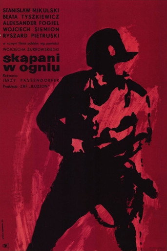 Póster de Skąpani w ogniu