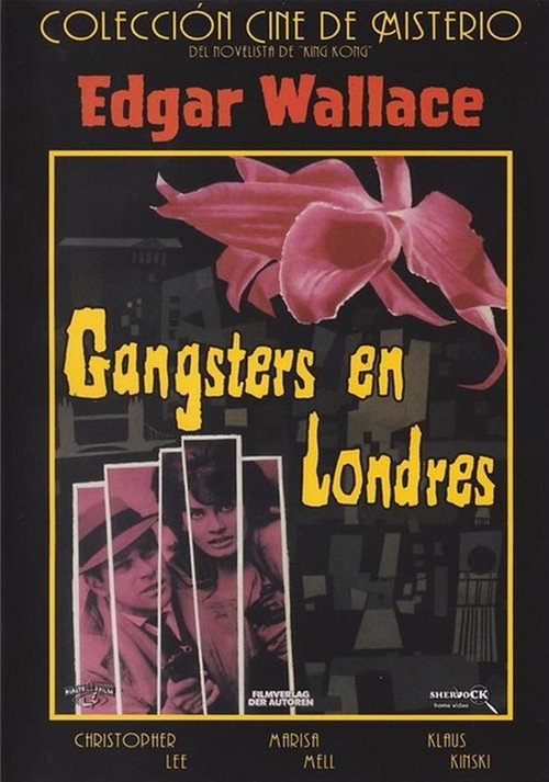 Póster de Das Rätsel der roten Orchidee