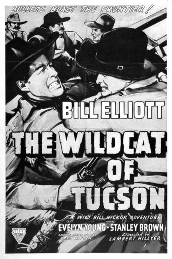 Póster de The Wildcat of Tucson