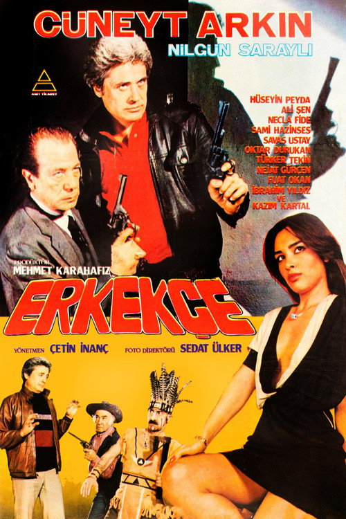 Póster de Erkekçe