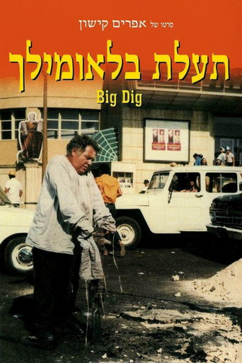 Póster de תעלת בלאומילך