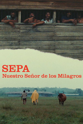 Póster de Sepa - Nuestro Señor de los Milagros