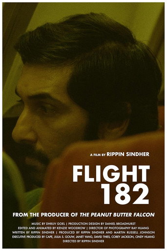 Póster de Flight 182