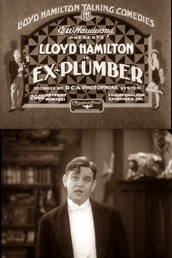 Póster de Ex-Plumber