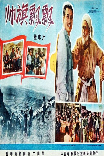Póster de 帅旗飘飘