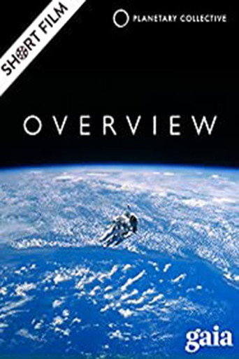 Póster de Overview