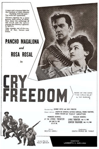 Póster de Cry Freedom