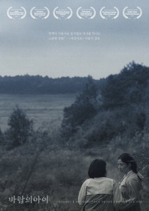 Póster de 바람의 아이