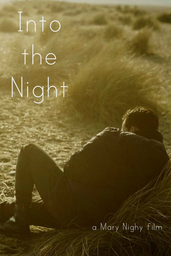 Póster de Into the Night