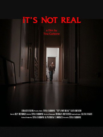 Póster de It's Not Real