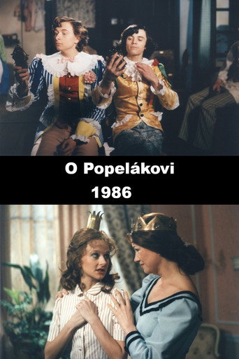 Póster de O Popelákovi