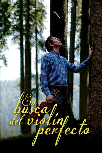 Póster de The Quest for Tonewood