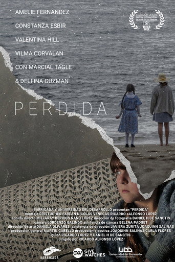 Póster de Perdida