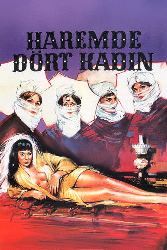 Póster de Haremde Dört Kadın