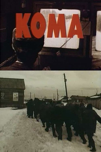 Póster de Кома