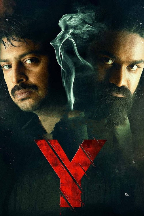 Póster de వై