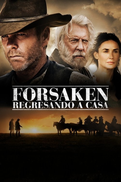 Póster de Regresando a casa