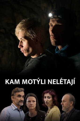 Póster de Kam motýli nelétají