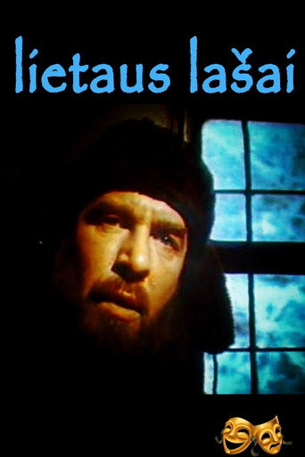 Póster de Капли дождя