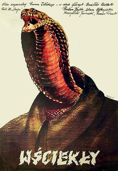 Póster de Wściekły