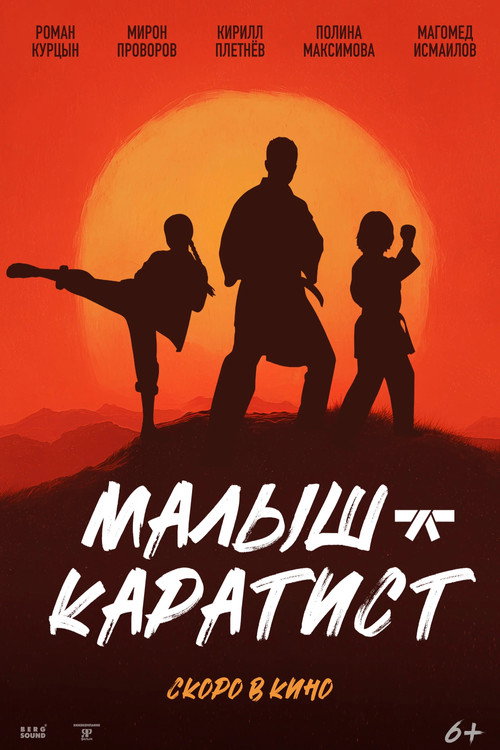 Póster de Малыш-каратист