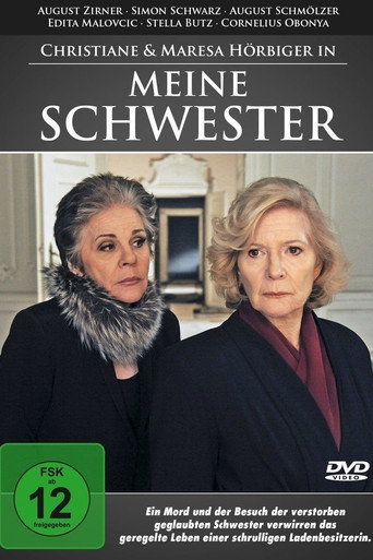 Póster de Meine Schwester