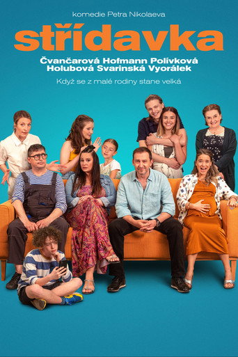 Póster de Střídavka
