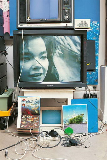 Póster de Björk: Vessel 1994