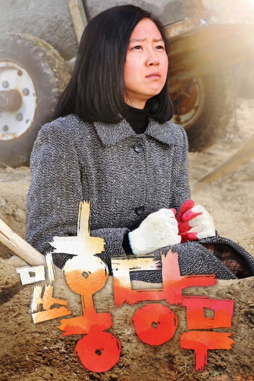 Póster de 미쓰 홍당무