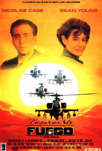 Póster de Fire Birds