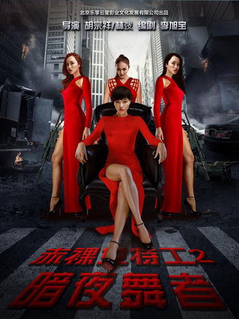 Póster de 赤裸女特工2暗夜舞者