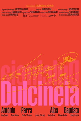 Póster de Dulcineia