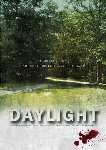 Póster de Daylight