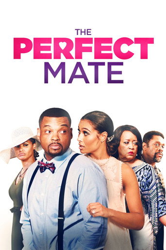 Póster de The Perfect Mate