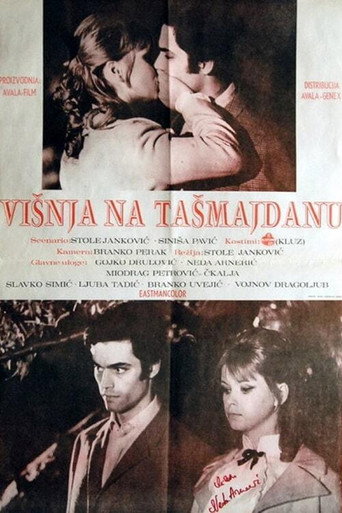Póster de Višnja na Tašmajdanu